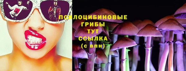 mdpv Майский