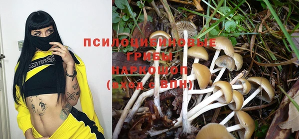 PSILOCYBIN Магас