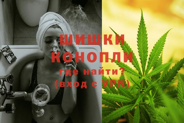 PSILOCYBIN Магас