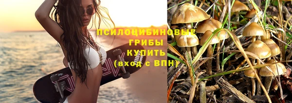 PSILOCYBIN Магас