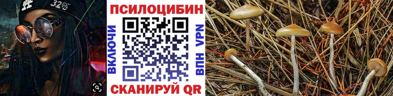 Галлюциногенные грибы мицелий  Ступино 